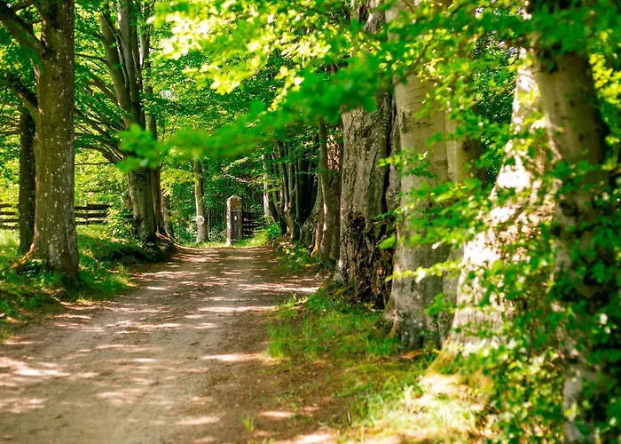 Gosciniec Frühstückspension