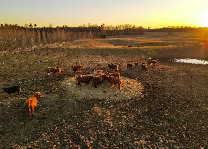 Gosciniec Frühstückspension Zagaje
