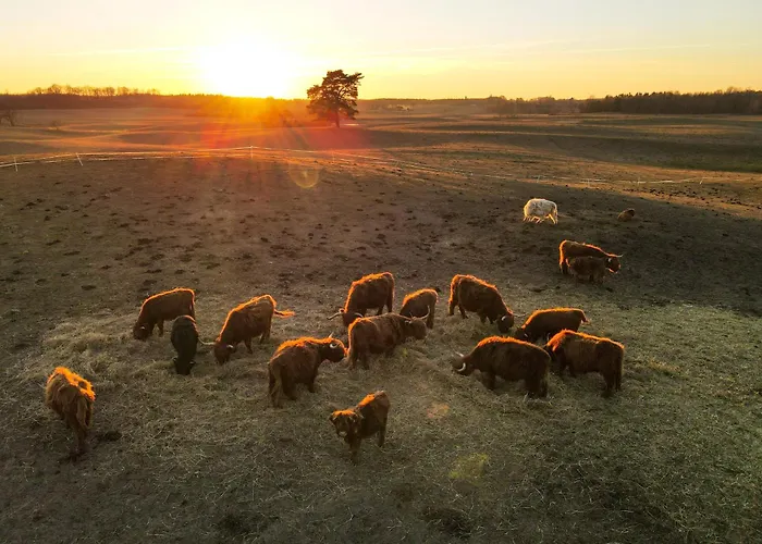 Gosciniec Frühstückspension 3*